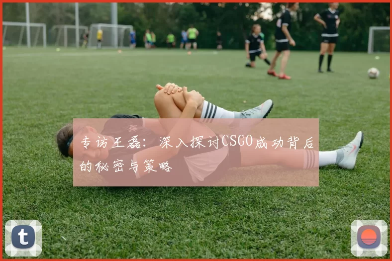 专访王磊：深入探讨CSGO成功背后的秘密与策略