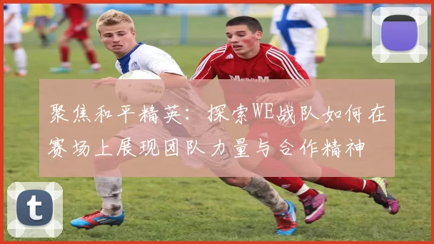 聚焦和平精英：探索WE战队如何在赛场上展现团队力量与合作精神