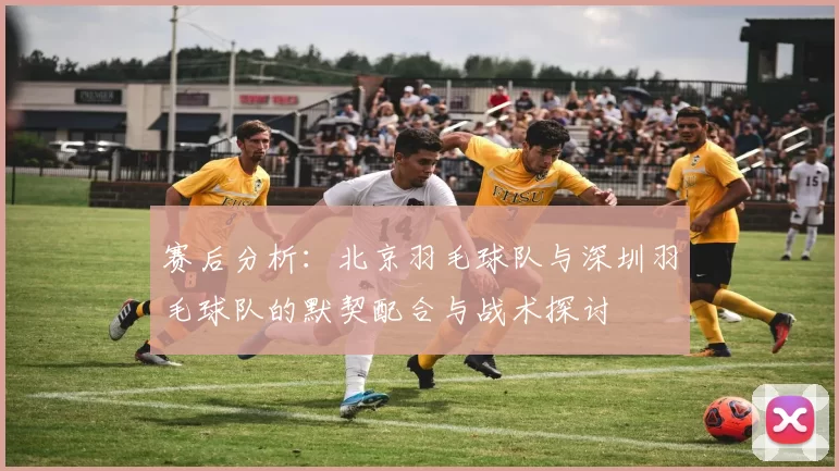 赛后分析：北京羽毛球队与深圳羽毛球队的默契配合与战术探讨