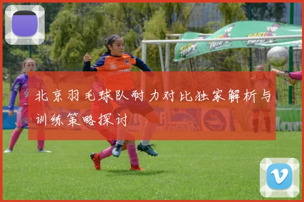 北京羽毛球队耐力对比独家解析与训练策略探讨