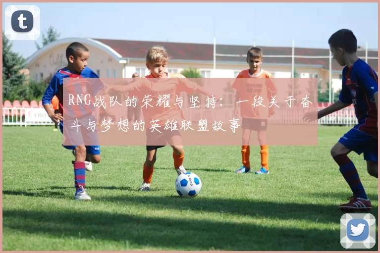 RNG战队的荣耀与坚持：一段关于奋斗与梦想的英雄联盟故事