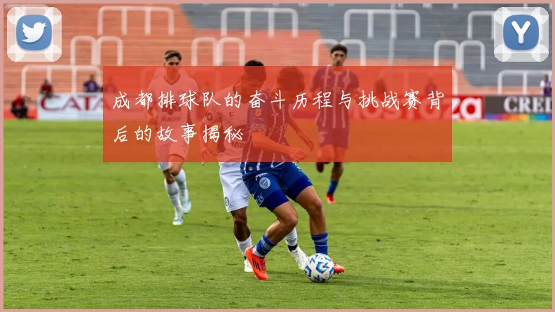 成都排球队的奋斗历程与挑战赛背后的故事揭秘