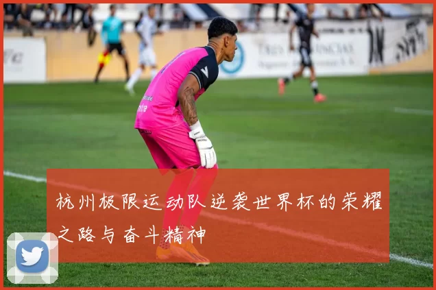 杭州极限运动队逆袭世界杯的荣耀之路与奋斗精神