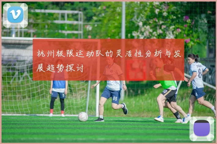 杭州极限运动队的灵活性分析与发展趋势探讨