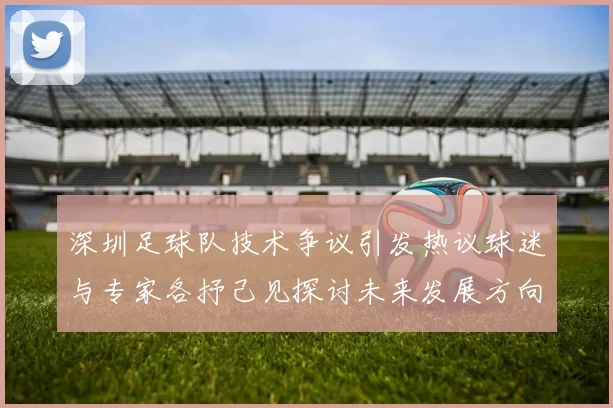 深圳足球队技术争议引发热议球迷与专家各抒己见探讨未来发展方向