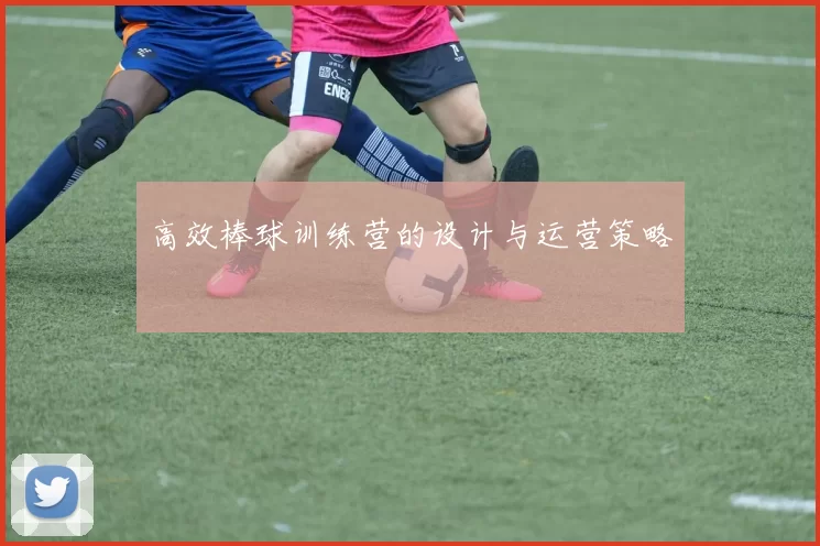 高效棒球训练营的设计与运营策略