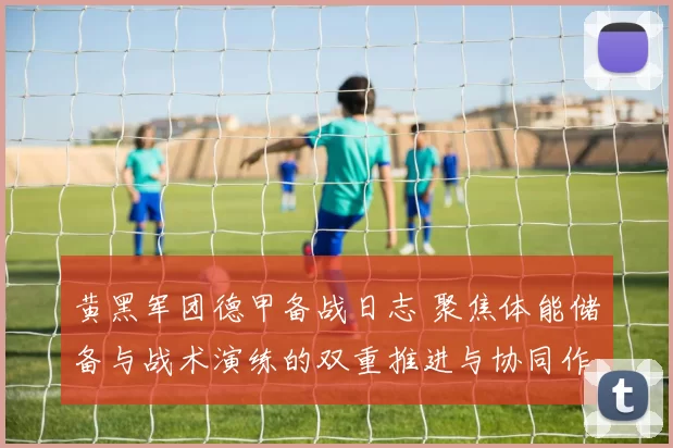 黄黑军团德甲备战日志 聚焦体能储备与战术演练的双重推进与协同作战