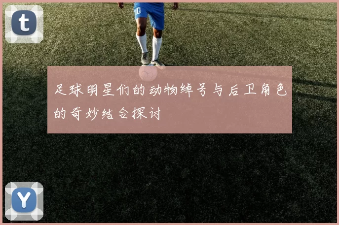 足球明星们的动物绰号与后卫角色的奇妙结合探讨