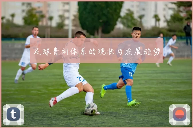 足球青训体系的现状与发展趋势
